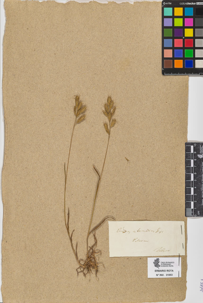 SW_BNB_s3090-09894_IMG-0000000001