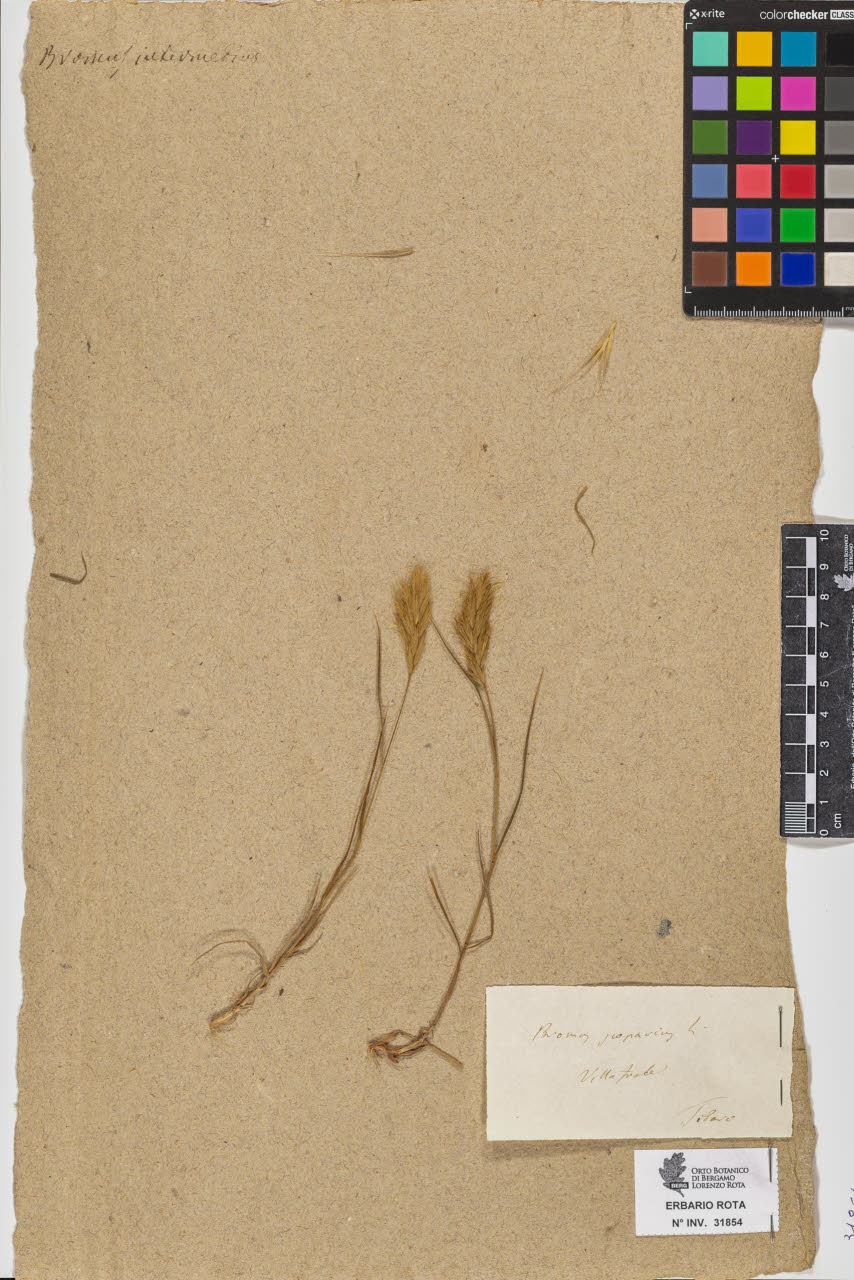 SW_BNB_s3090-09895_IMG-0000000001