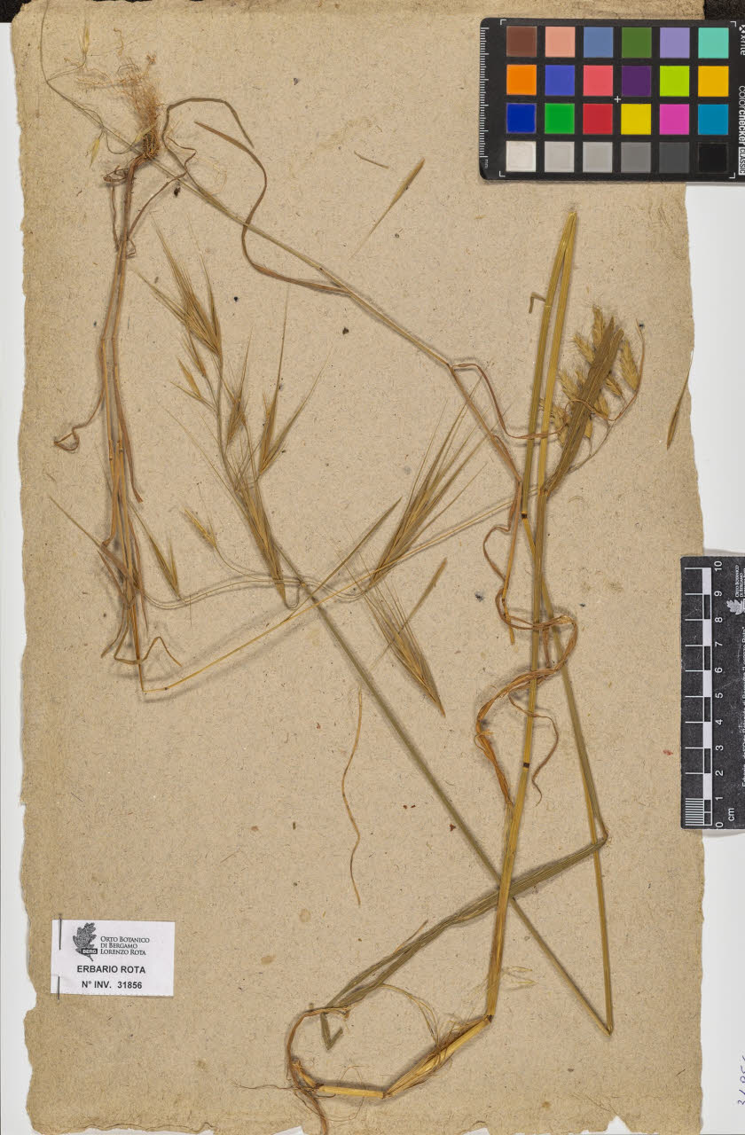 SW_BNB_s3090-09897_IMG-0000000001