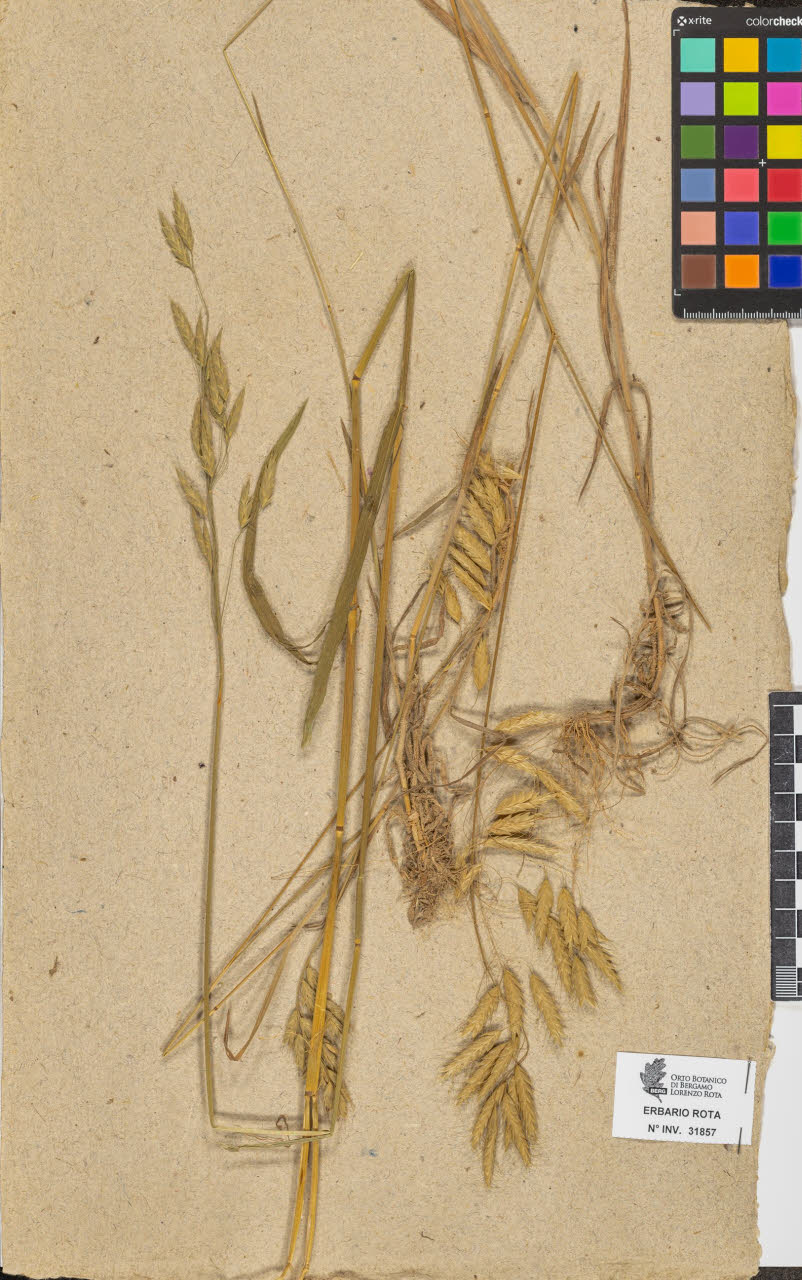 SW_BNB_s3090-09898_IMG-0000000001