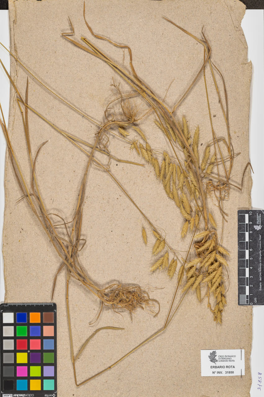 SW_BNB_s3090-09899_IMG-0000000001