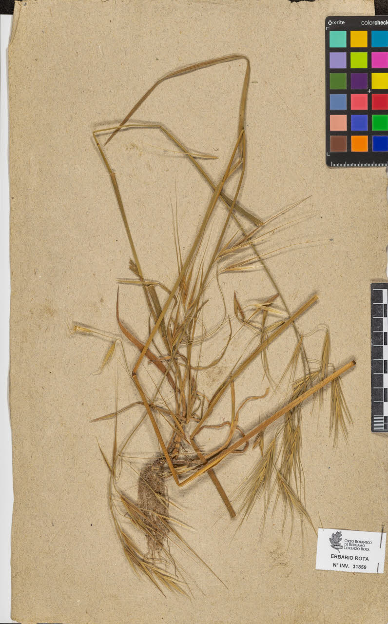 SW_BNB_s3090-09900_IMG-0000000001