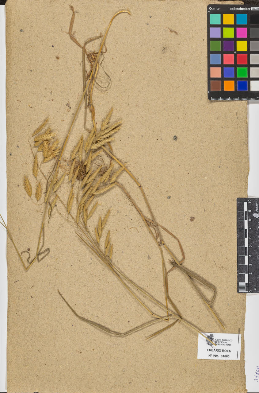 SW_BNB_s3090-09901_IMG-0000000001