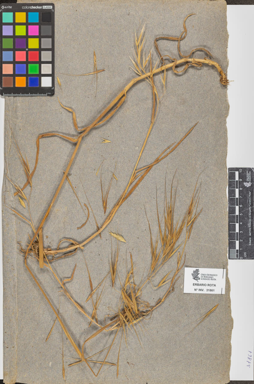 SW_BNB_s3090-09902_IMG-0000000001