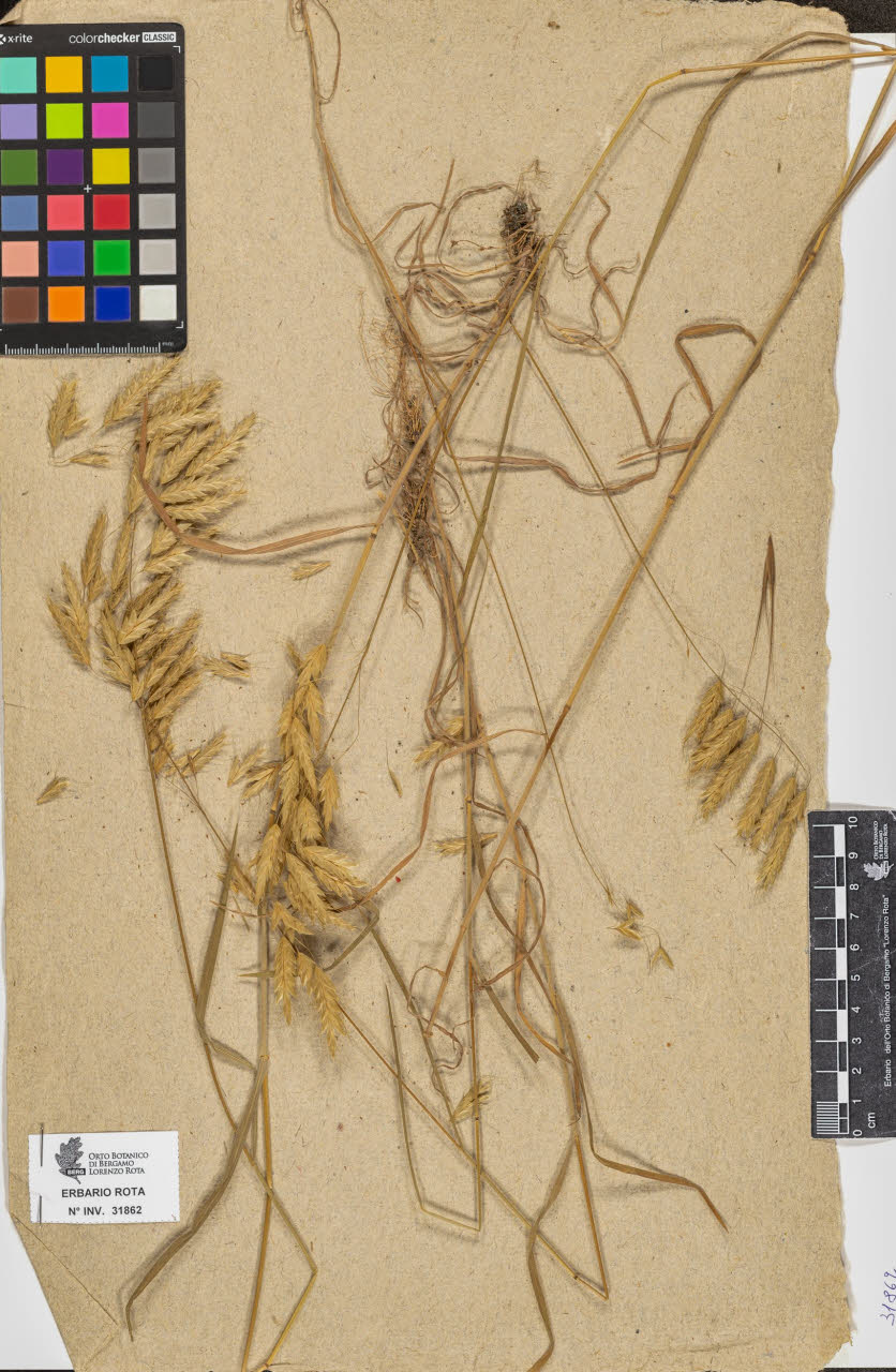 SW_BNB_s3090-09903_IMG-0000000001