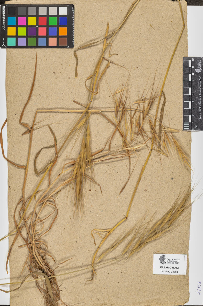 SW_BNB_s3090-09904_IMG-0000000001