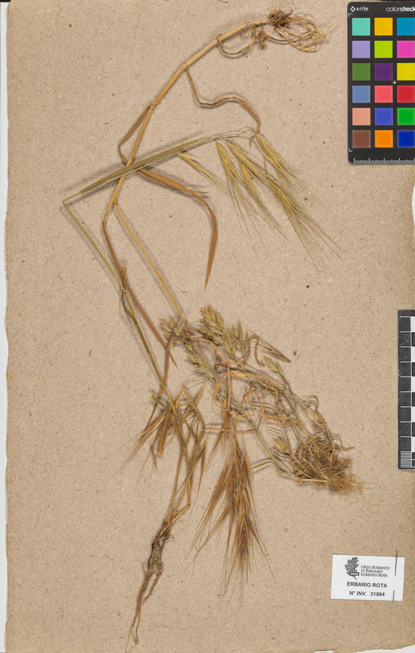 SW_BNB_s3090-09905_IMG-0000000001