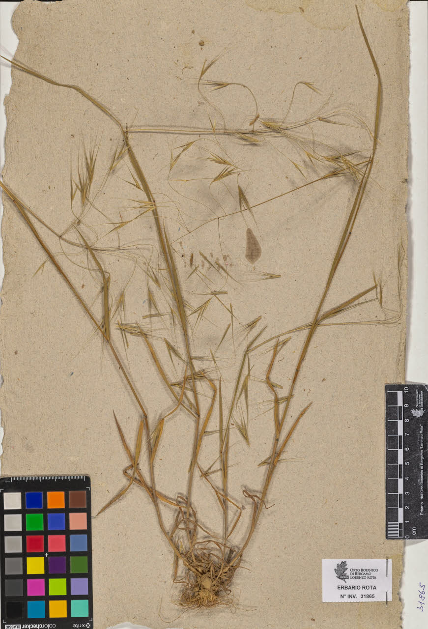 SW_BNB_s3090-09906_IMG-0000000001