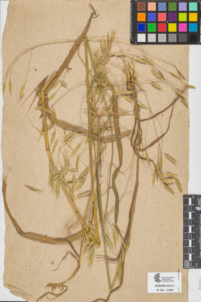 SW_BNB_s3090-09907_IMG-0000000001