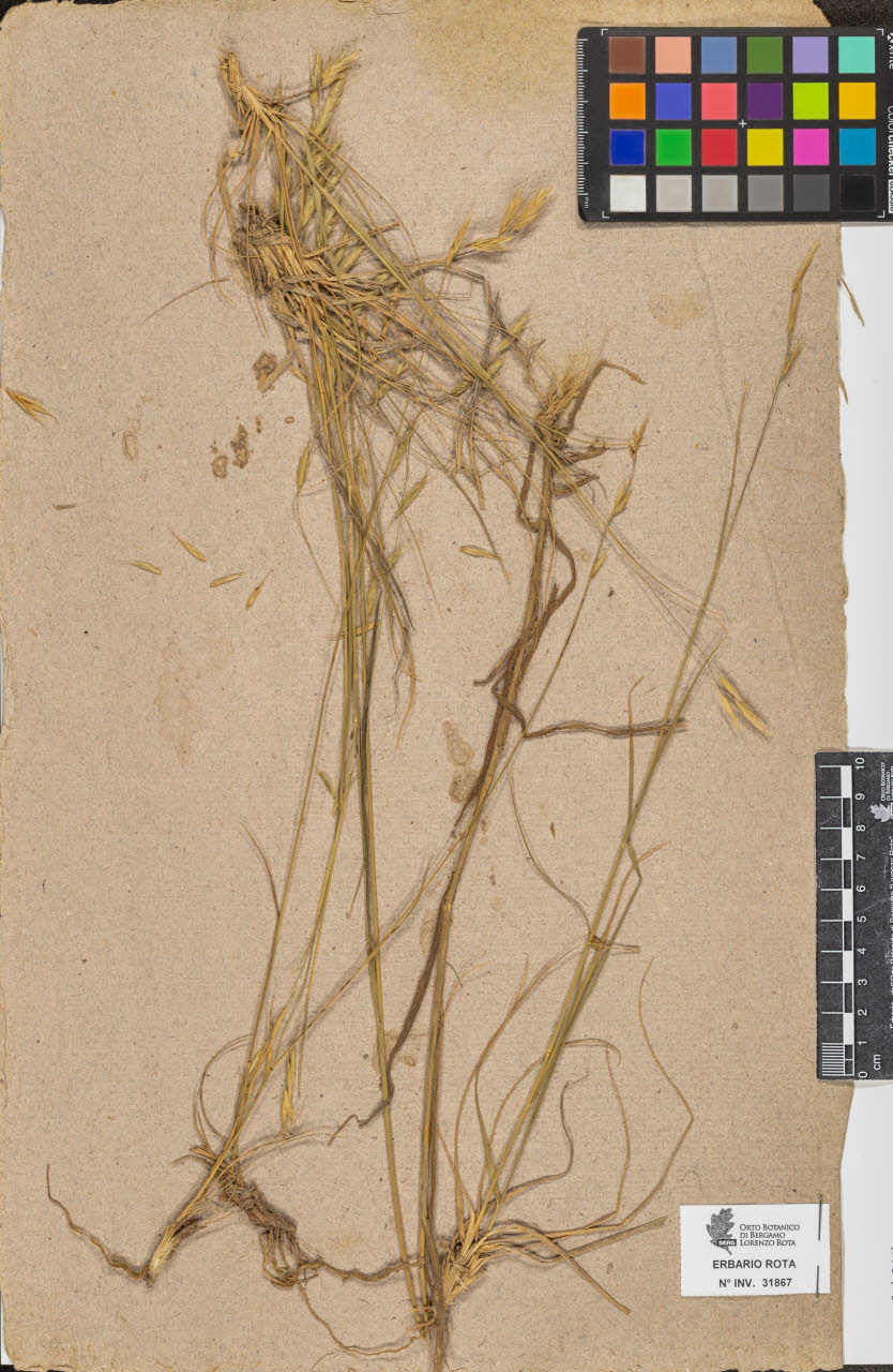 SW_BNB_s3090-09908_IMG-0000000001