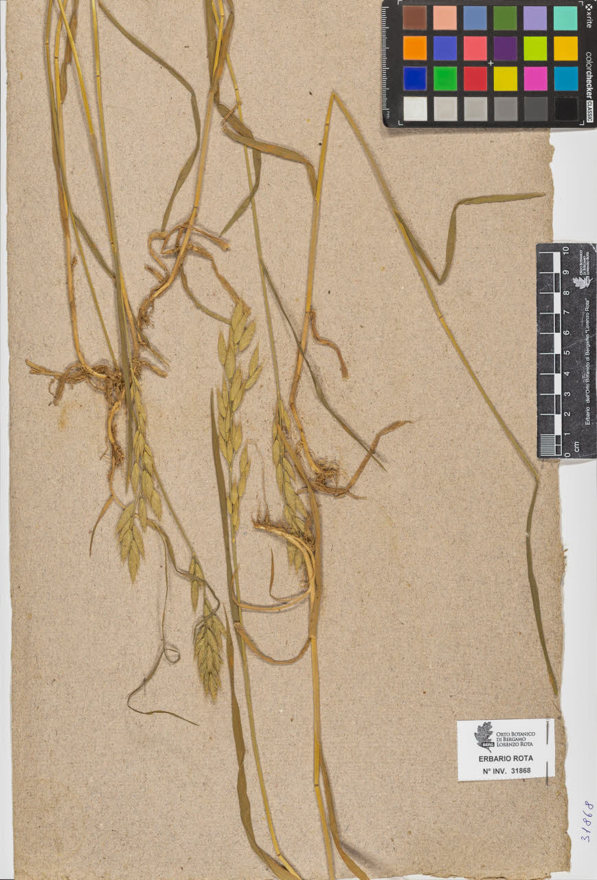 SW_BNB_s3090-09909_IMG-0000000001