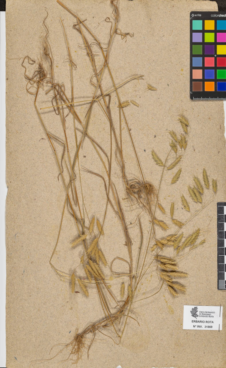 SW_BNB_s3090-09910_IMG-0000000001