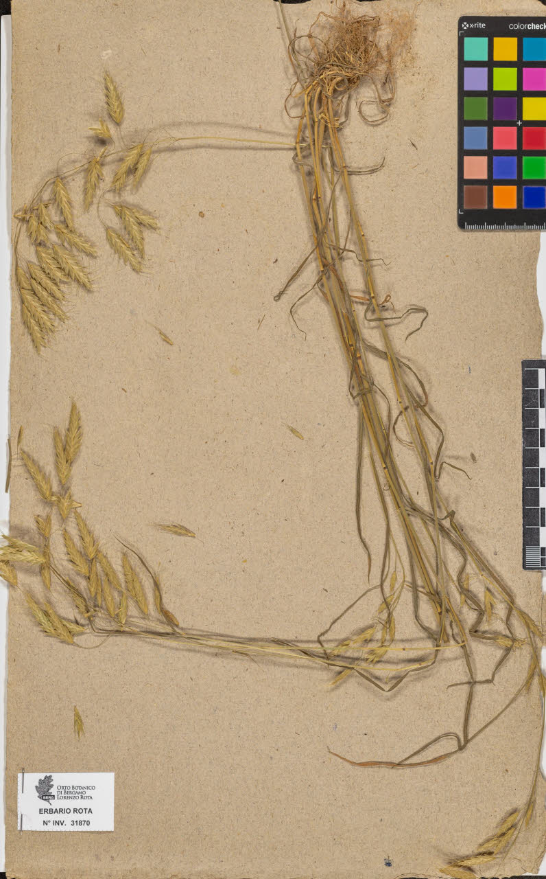 SW_BNB_s3090-09911_IMG-0000000001