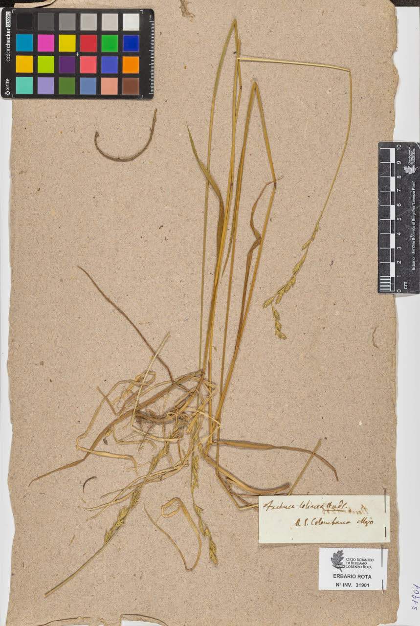 SW_BNB_s3090-09942_IMG-0000000001