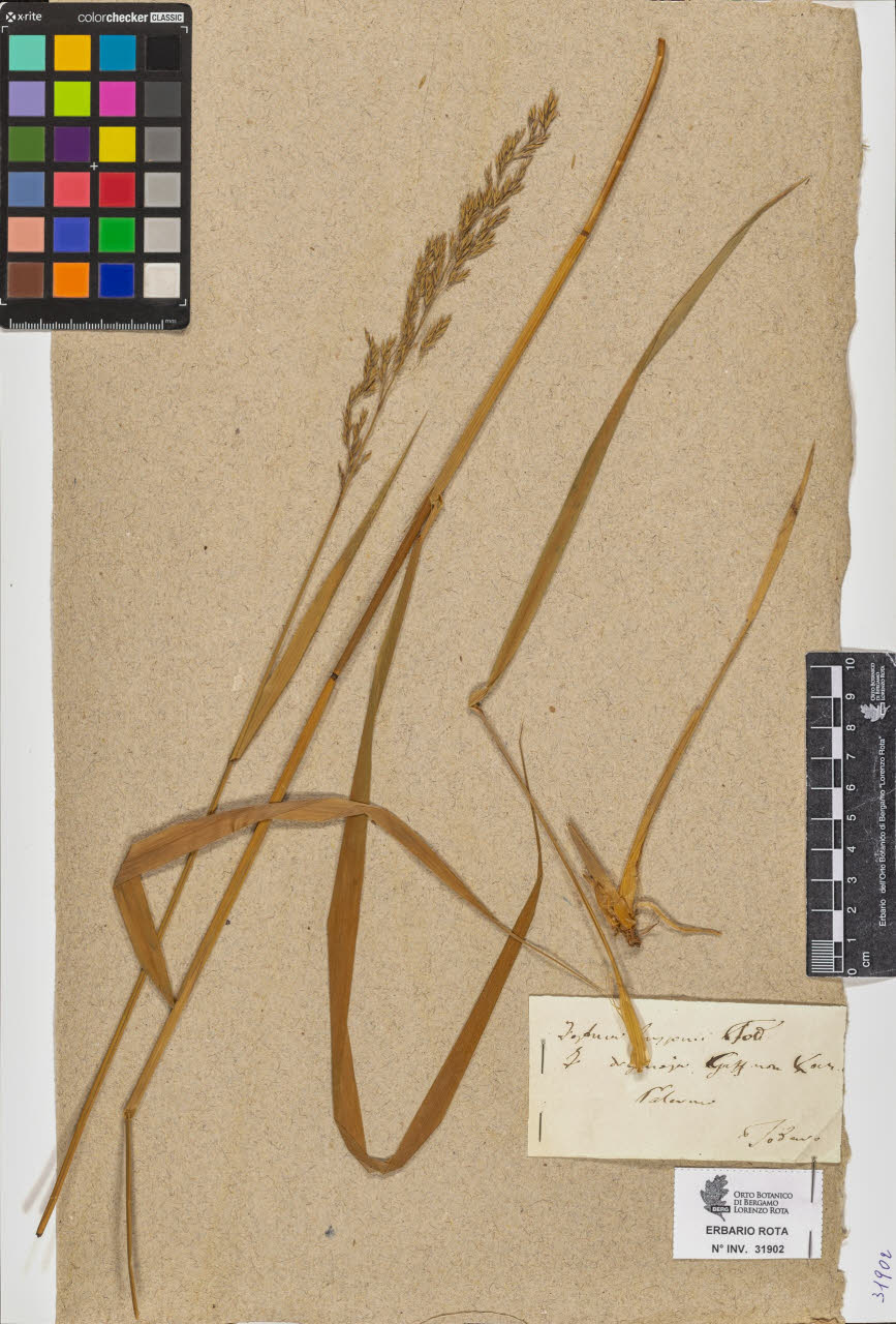 SW_BNB_s3090-09943_IMG-0000000001