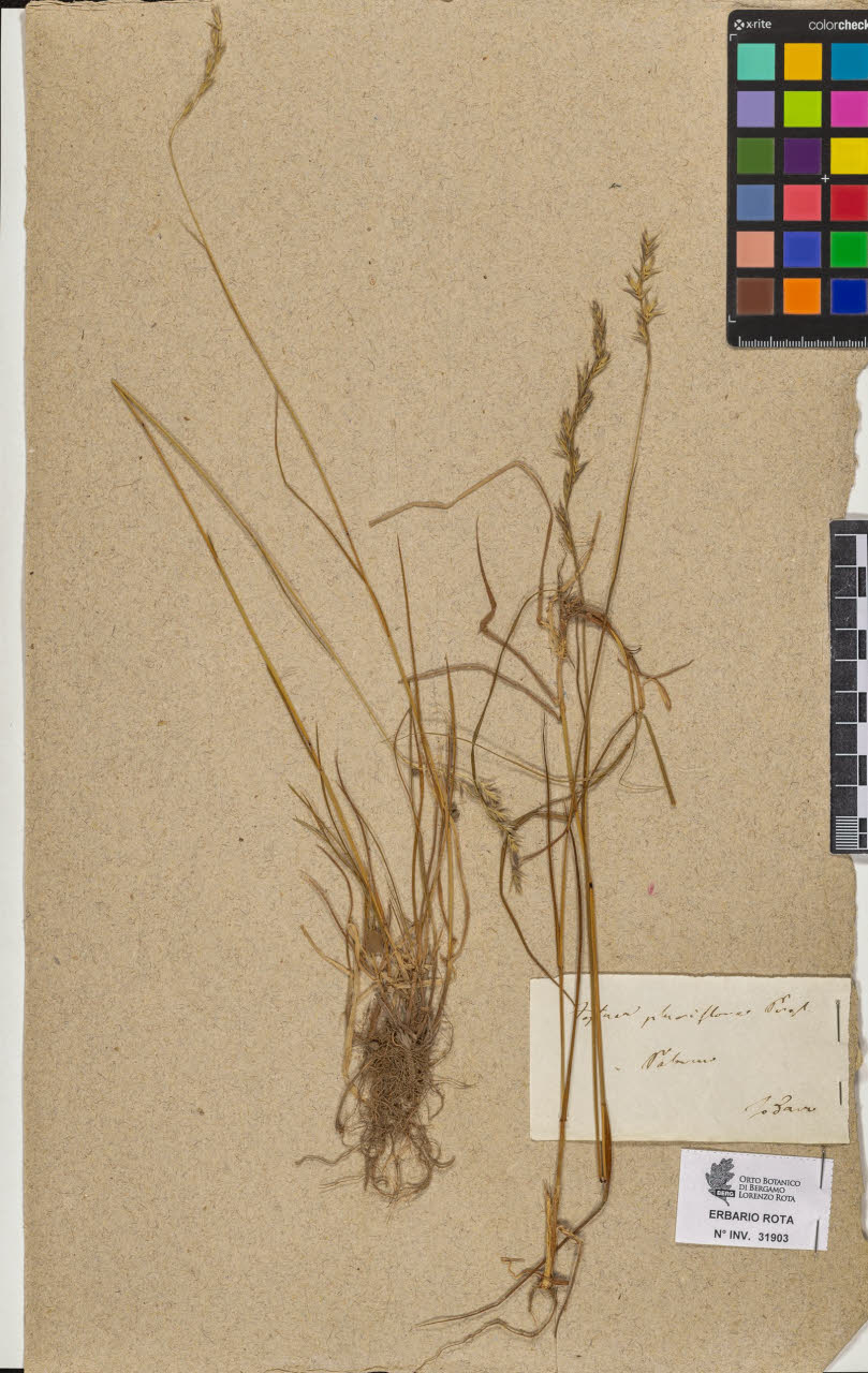 SW_BNB_s3090-09944_IMG-0000000001