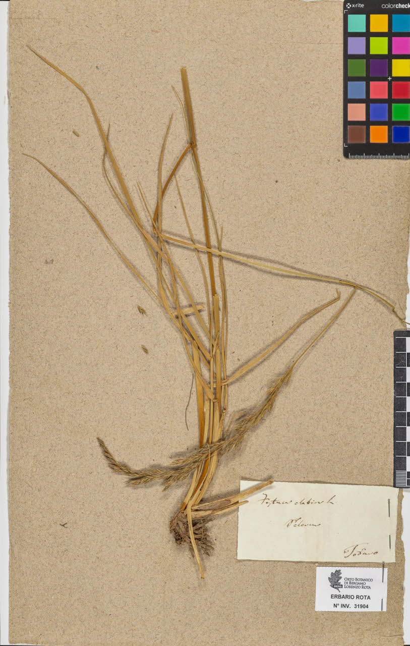 SW_BNB_s3090-09945_IMG-0000000001