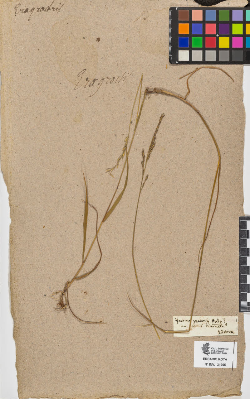 SW_BNB_s3090-09946_IMG-0000000001