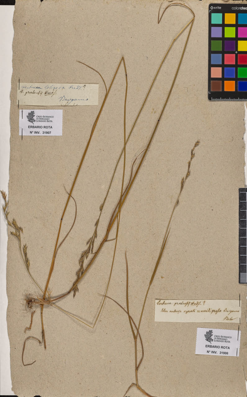 SW_BNB_s3090-09947_IMG-0000000001