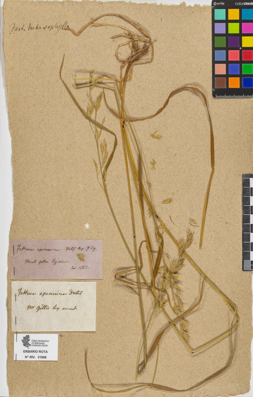 SW_BNB_s3090-09949_IMG-0000000001