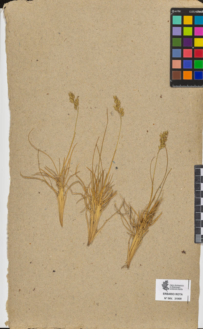 SW_BNB_s3090-09950_IMG-0000000001