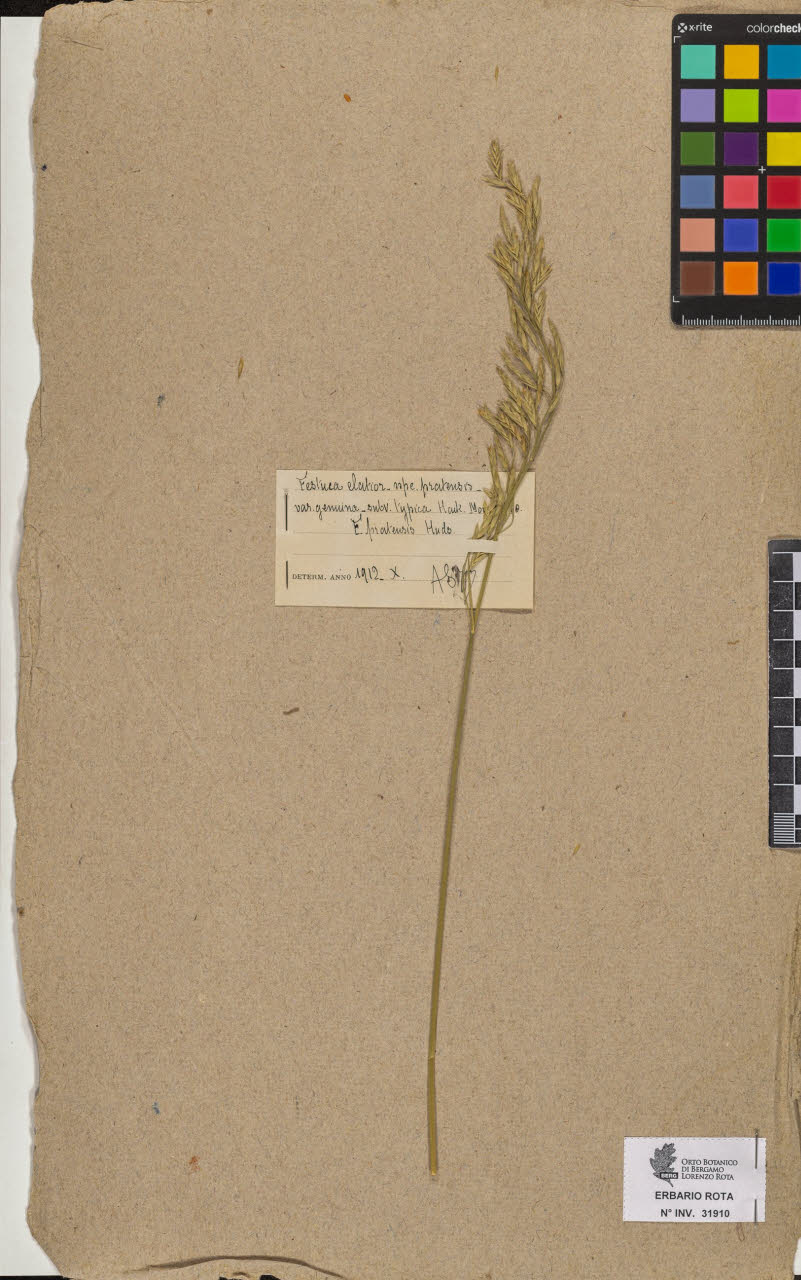 SW_BNB_s3090-09951_IMG-0000000001