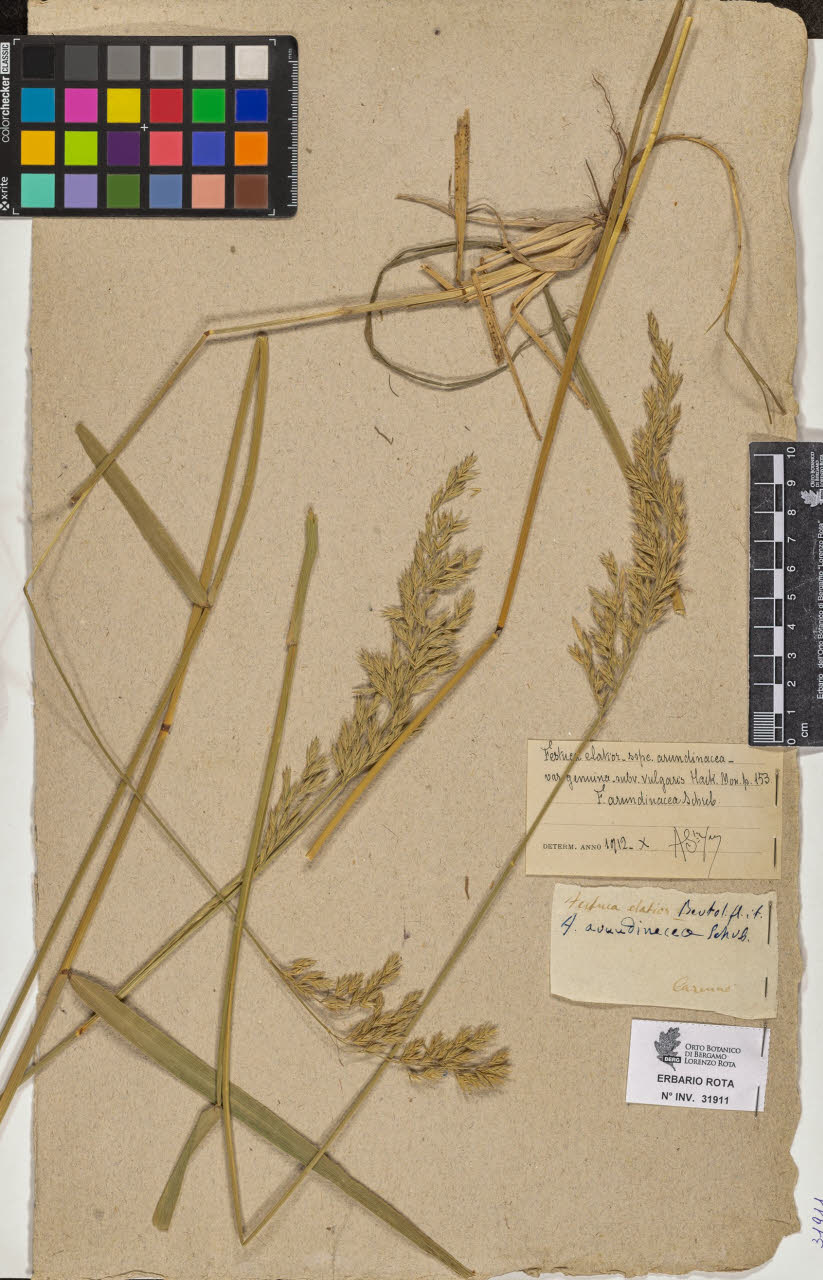 SW_BNB_s3090-09952_IMG-0000000001