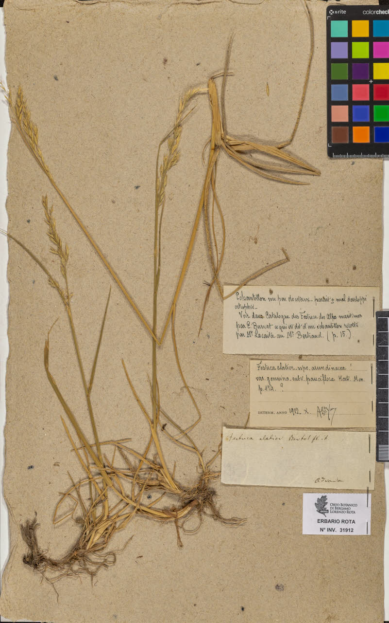 SW_BNB_s3090-09953_IMG-0000000001