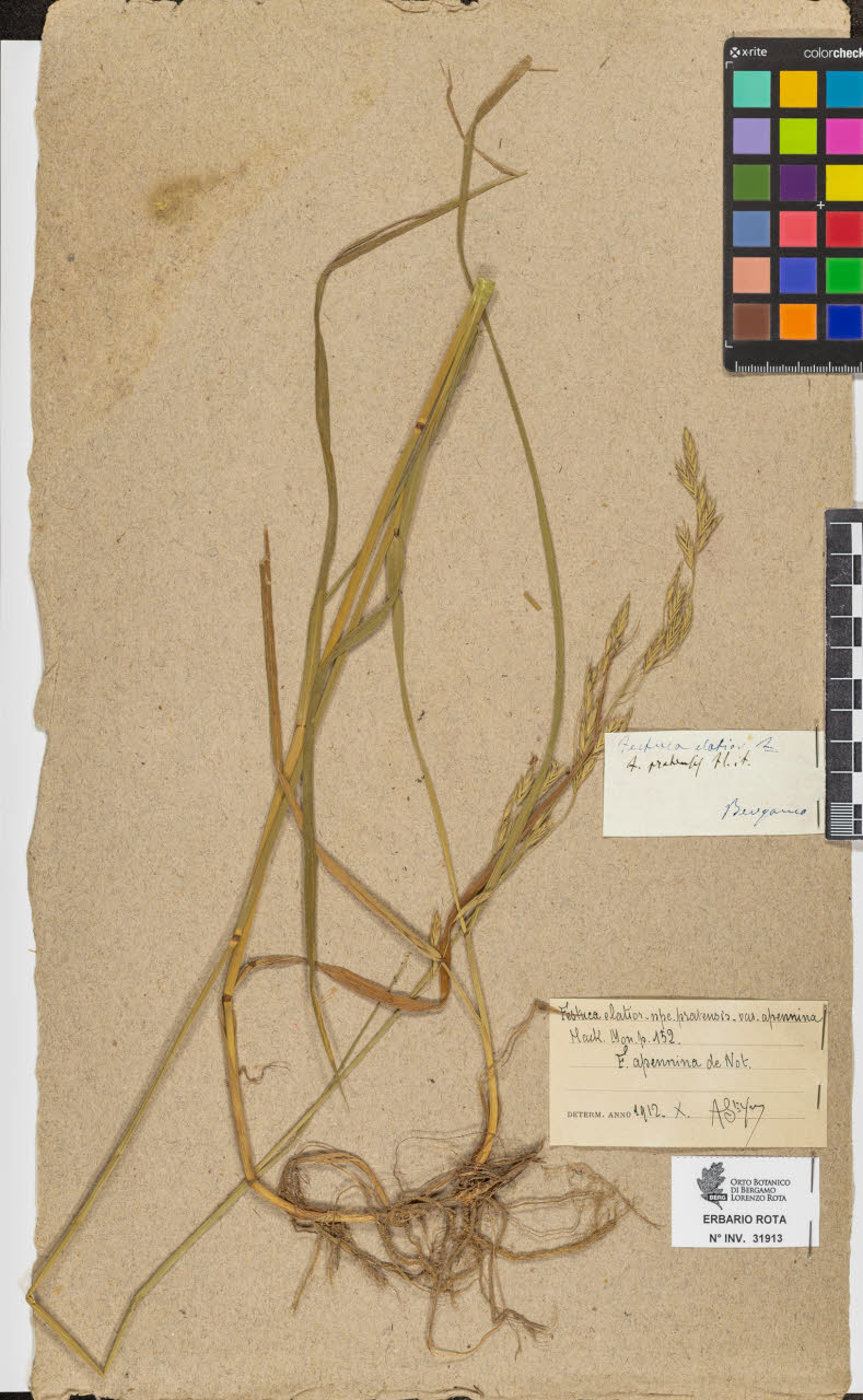 SW_BNB_s3090-09954_IMG-0000000001