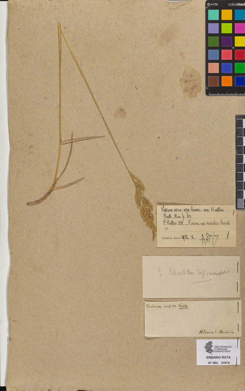 SW_BNB_s3090-09955_IMG-0000000001