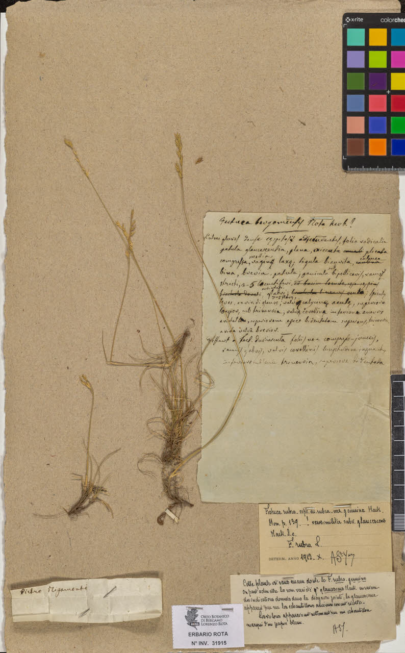 SW_BNB_s3090-09956_IMG-0000000001