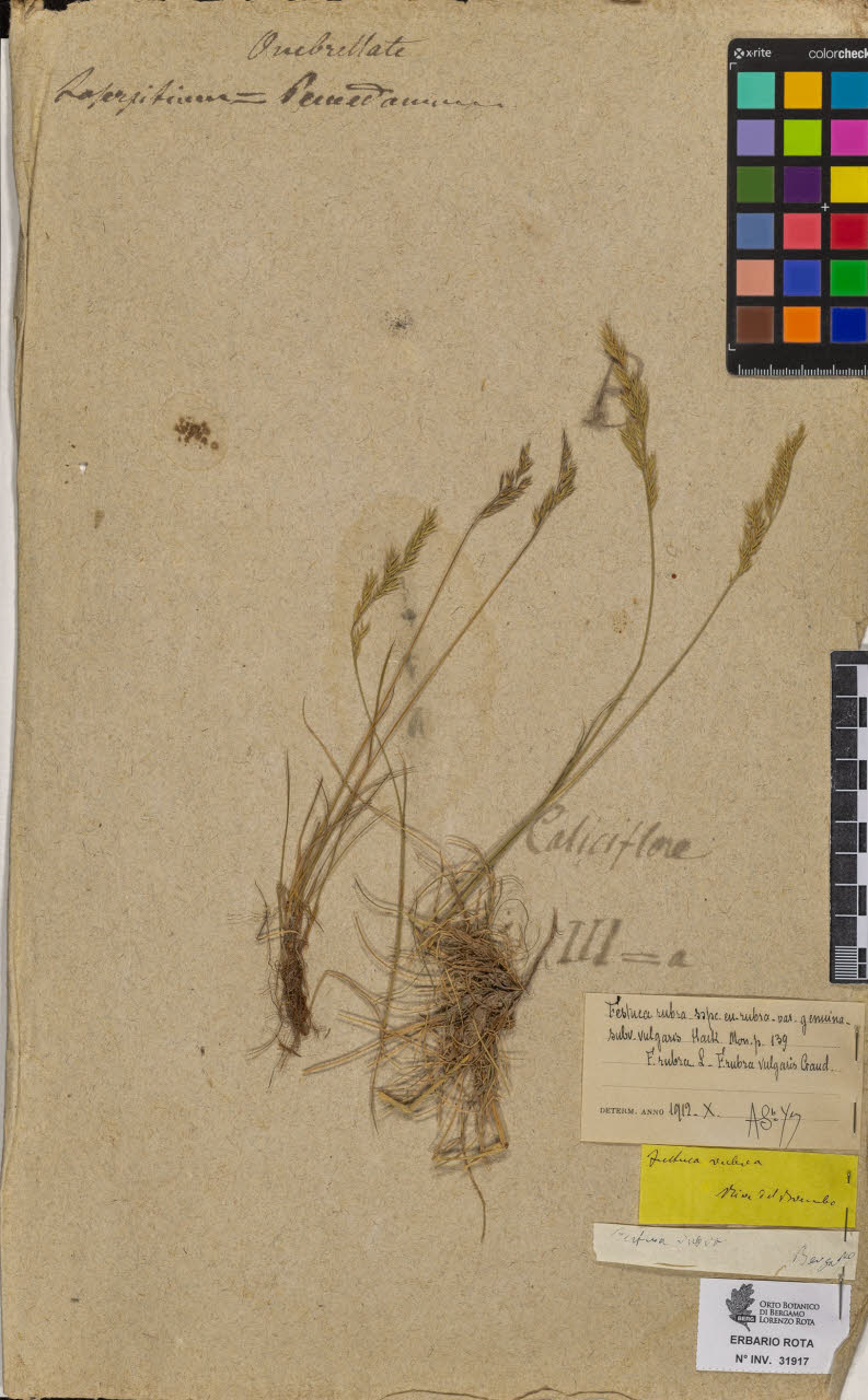 SW_BNB_s3090-09958_IMG-0000000001