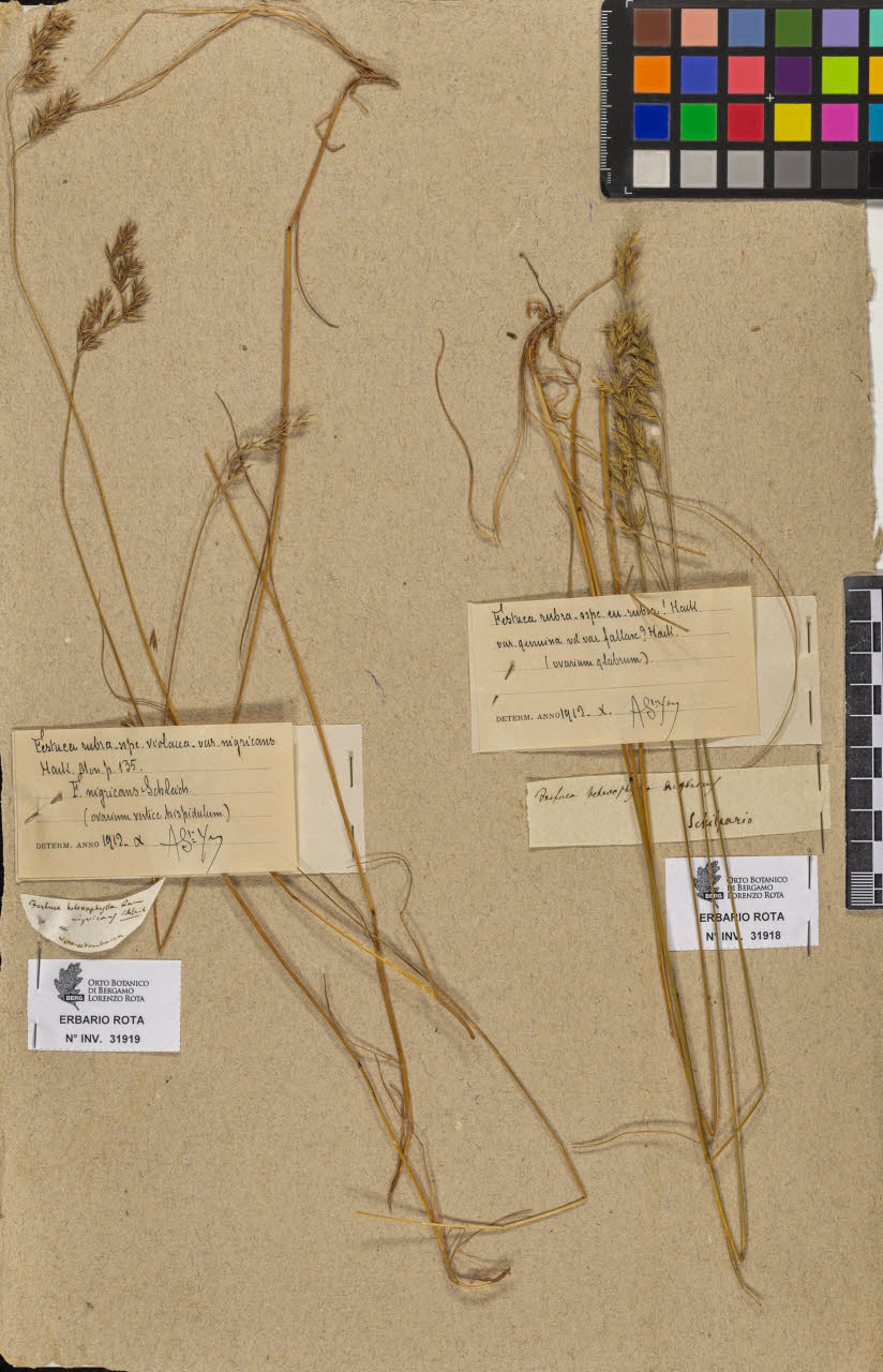 SW_BNB_s3090-09959_IMG-0000000001