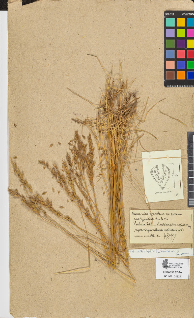 SW_BNB_s3090-09961_IMG-0000000001