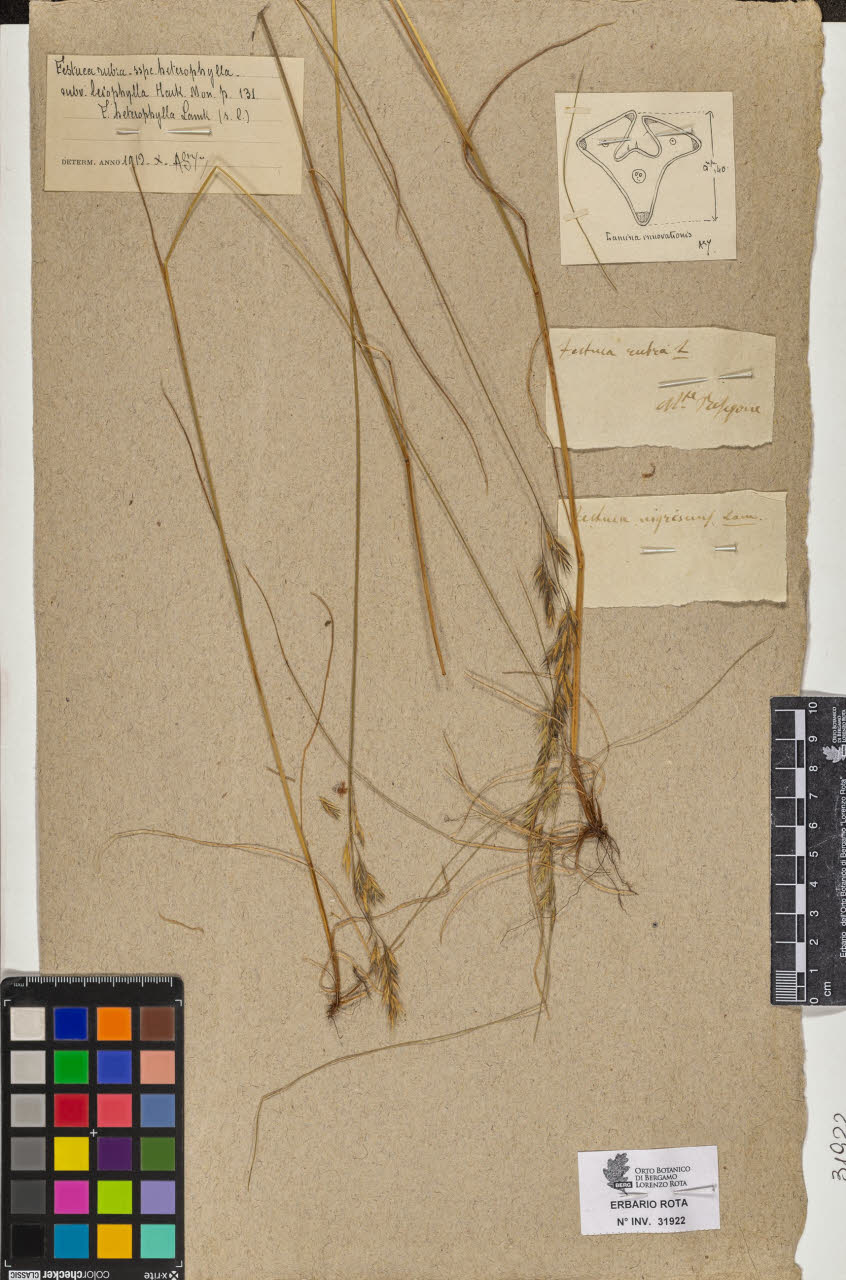 SW_BNB_s3090-09963_IMG-0000000001