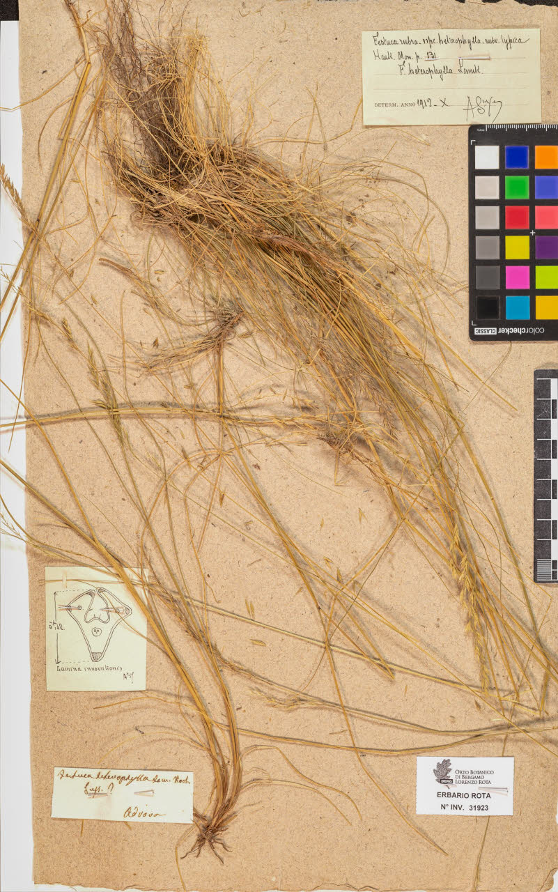 SW_BNB_s3090-09964_IMG-0000000001