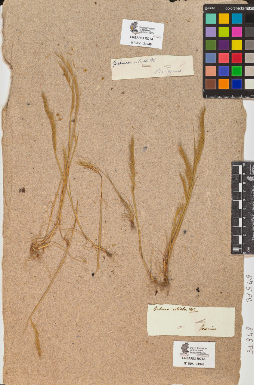 SW_BNB_s3090-09989_IMG-0000000001