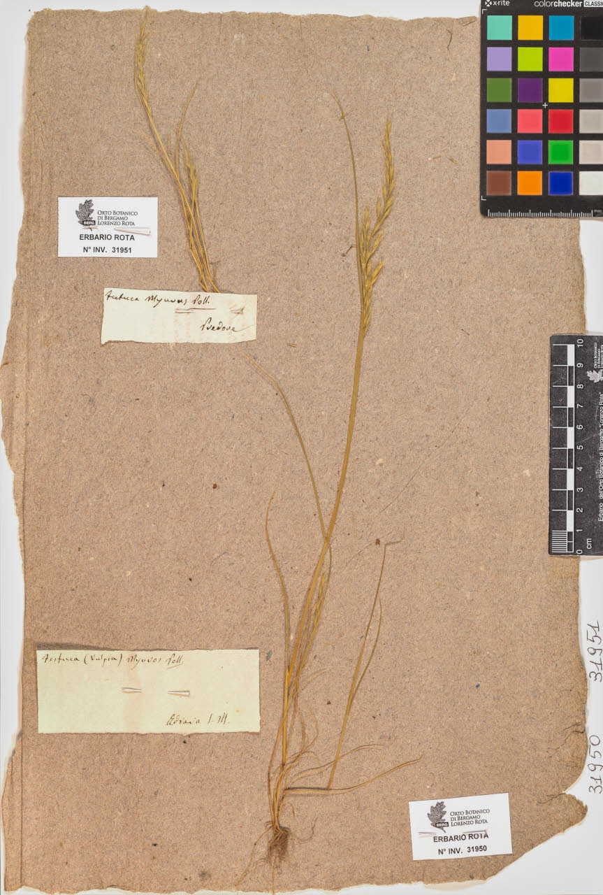 SW_BNB_s3090-09991_IMG-0000000001