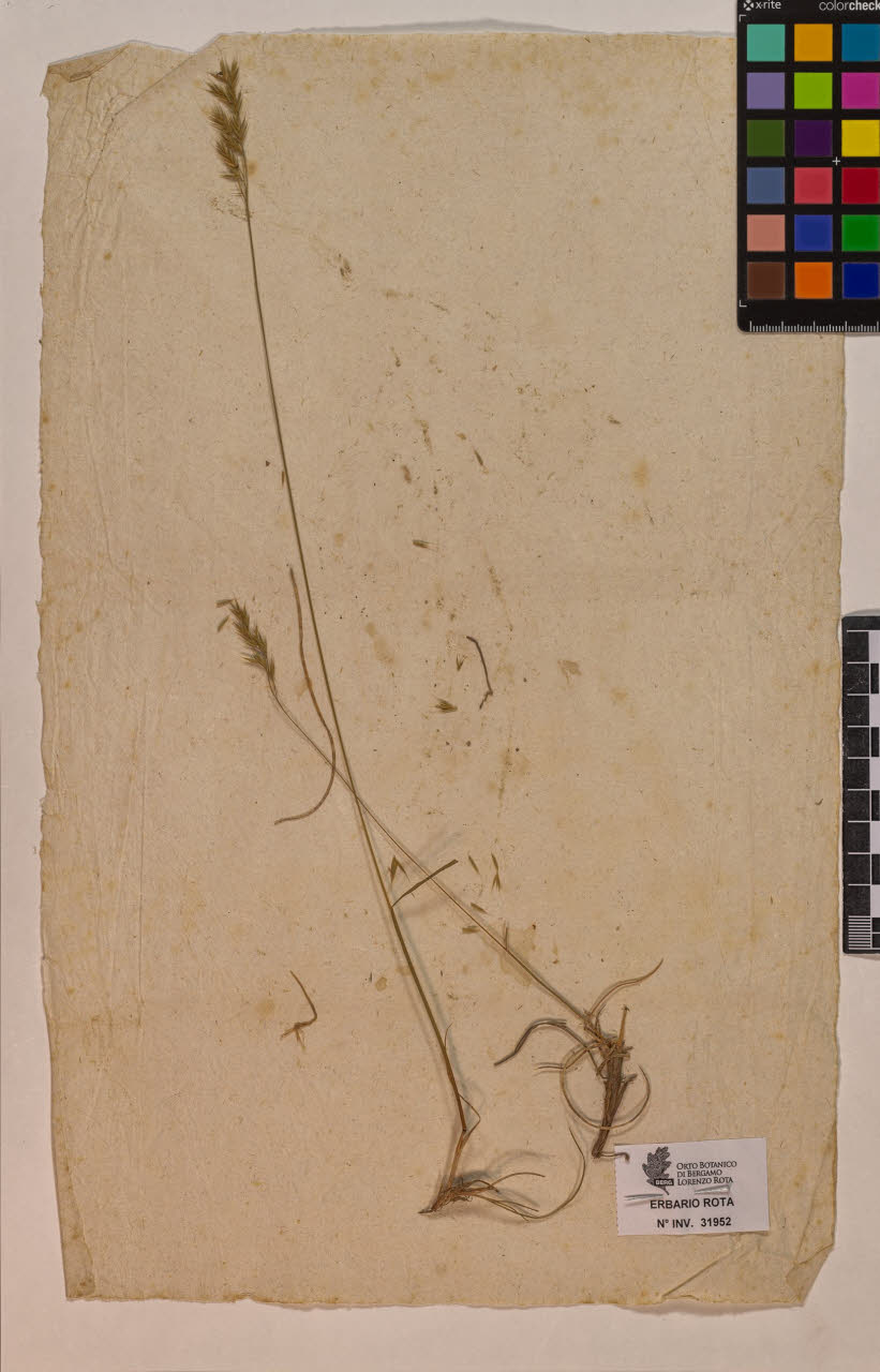 SW_BNB_s3090-09993_IMG-0000000001