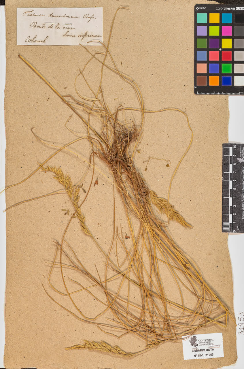 SW_BNB_s3090-09994_IMG-0000000001