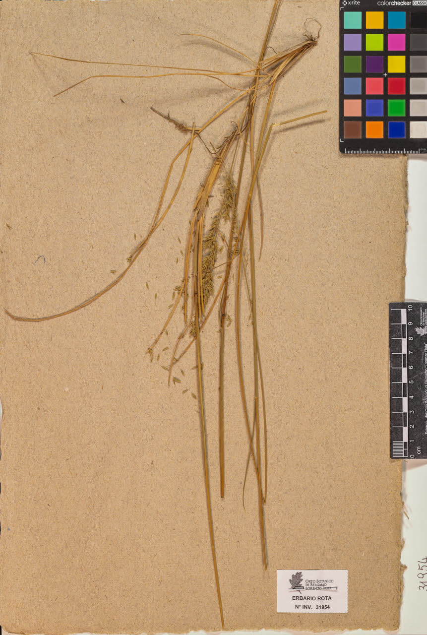 SW_BNB_s3090-09995_IMG-0000000001