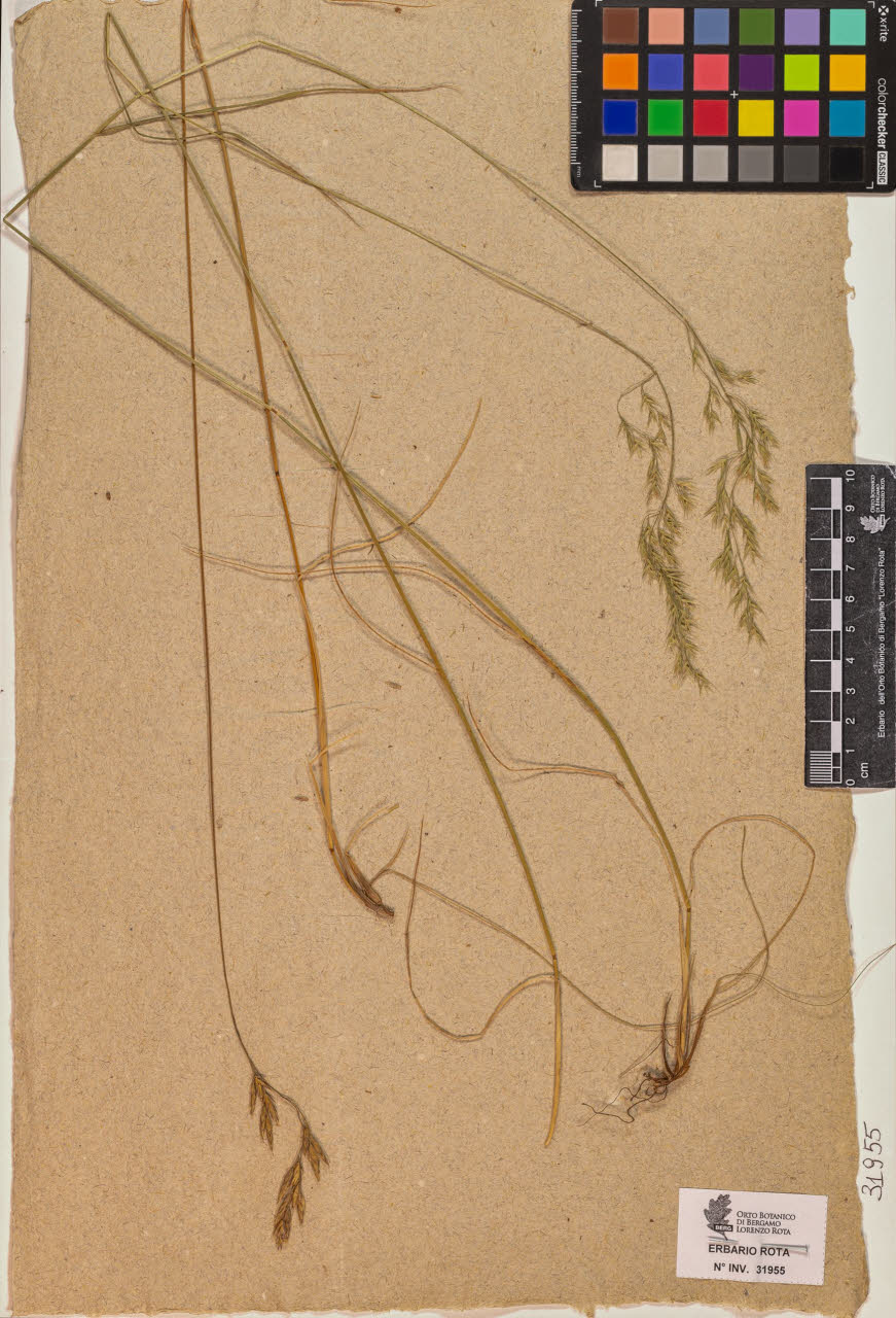 SW_BNB_s3090-09996_IMG-0000000001