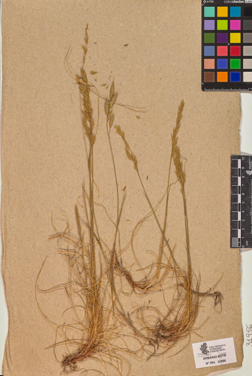 SW_BNB_s3090-09997_IMG-0000000001