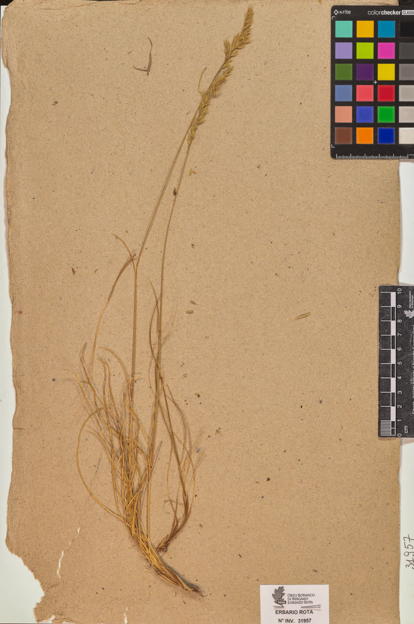 SW_BNB_s3090-09998_IMG-0000000001