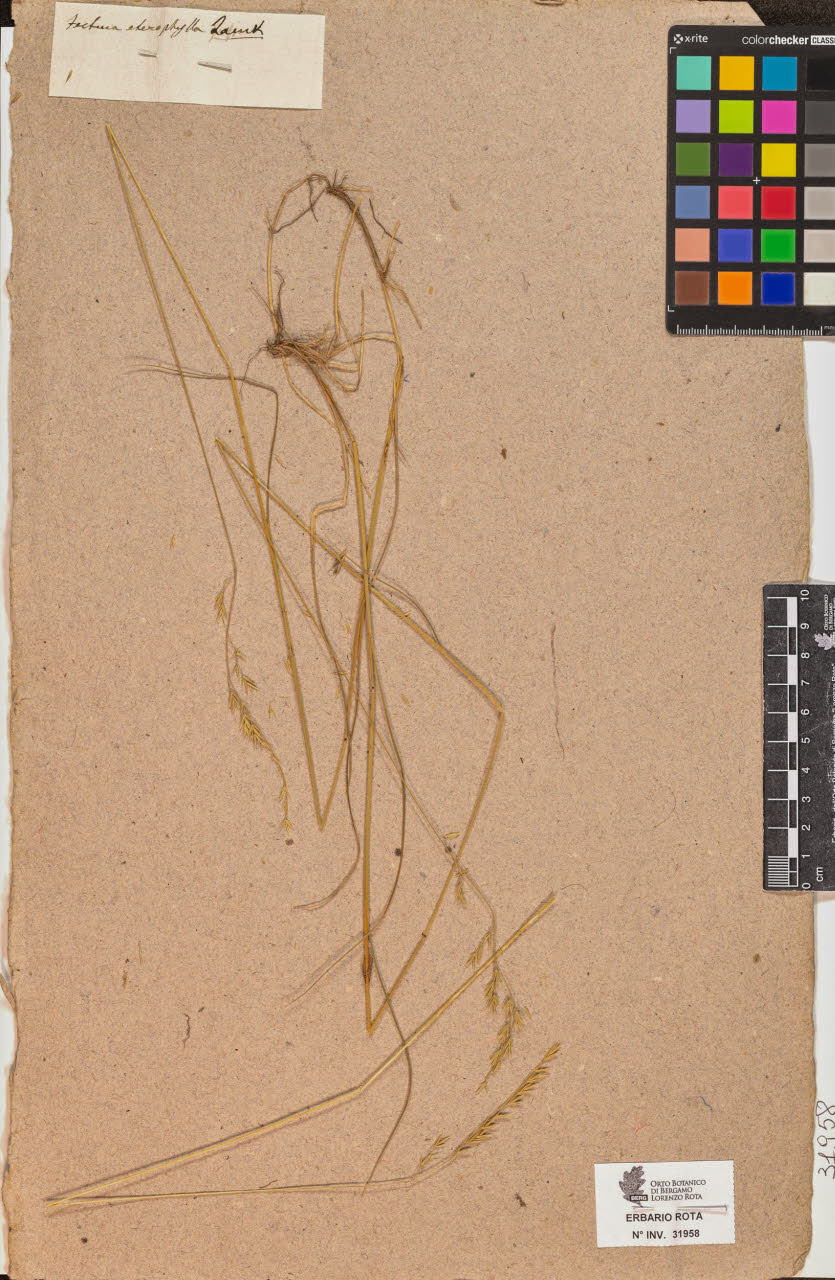 SW_BNB_s3090-09999_IMG-0000000001