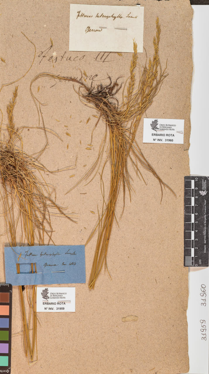 SW_BNB_s3090-10000_IMG-0000000001