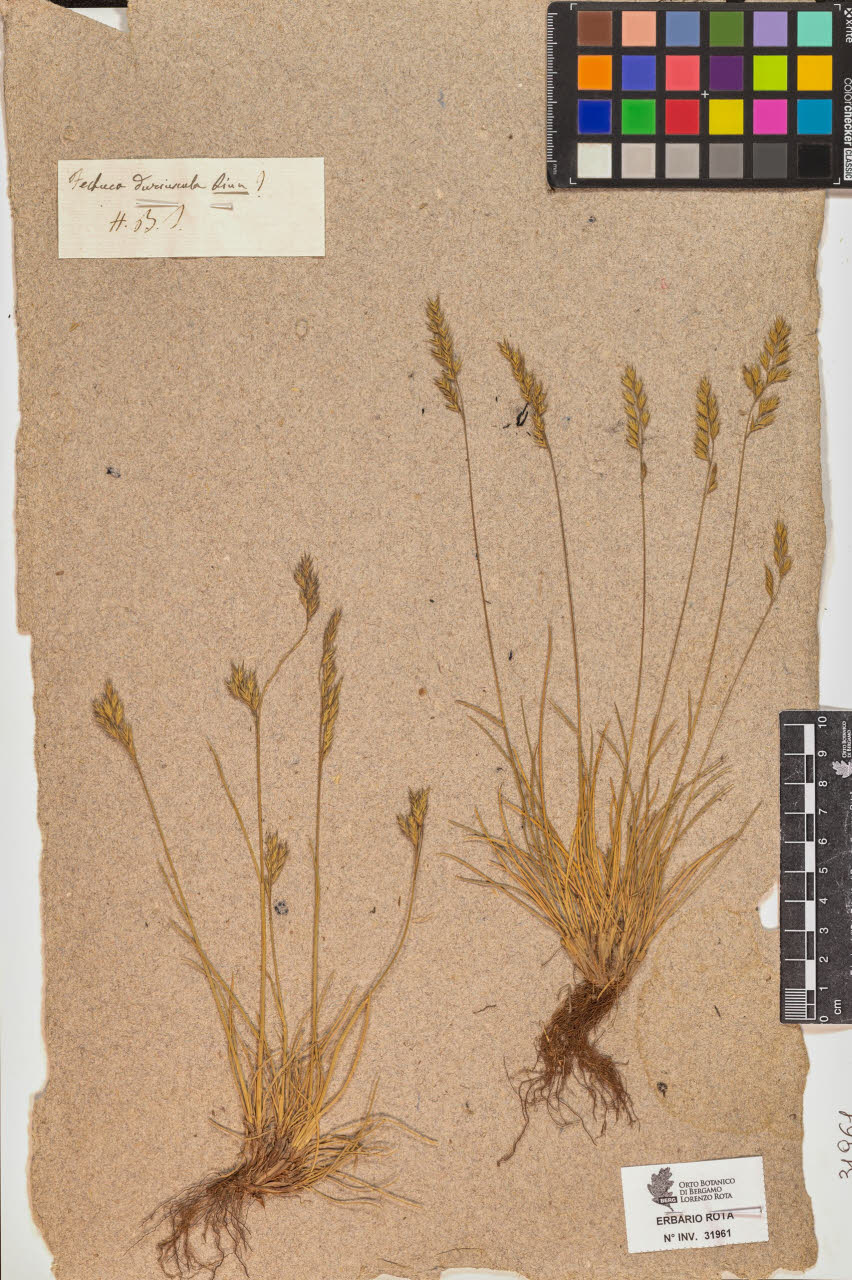 SW_BNB_s3090-10002_IMG-0000000001