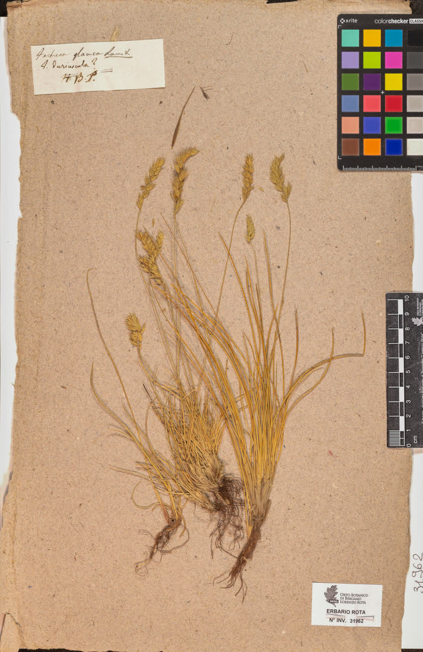 SW_BNB_s3090-10003_IMG-0000000001