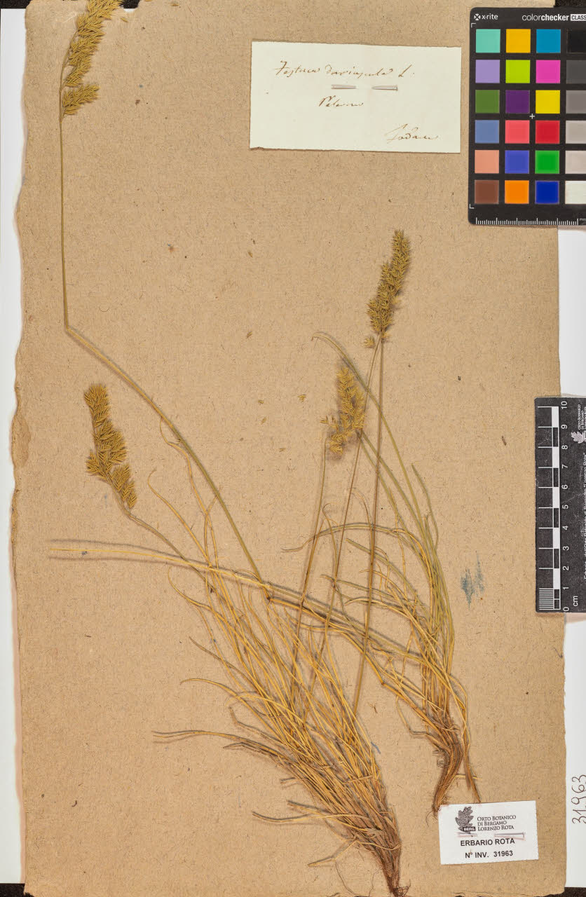 SW_BNB_s3090-10004_IMG-0000000001