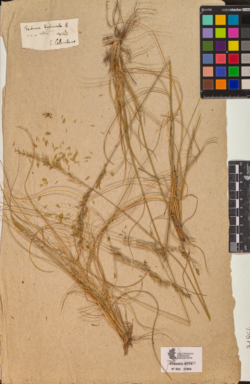 SW_BNB_s3090-10005_IMG-0000000001